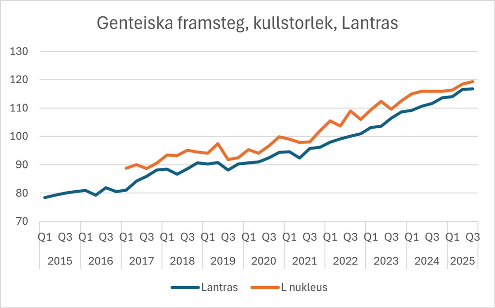 MA Lantras kullstorlek