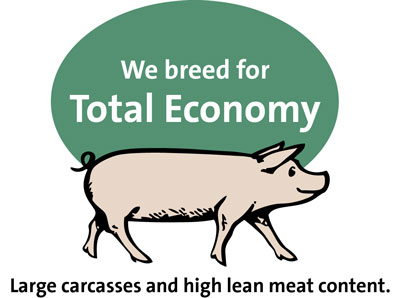 Total Economy
