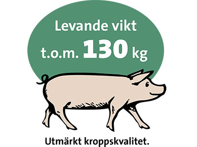 Levande vikt 130 kg