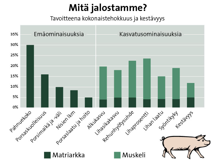 Mitä jalostamme - ominaisuuksia Mitä jalostamme - ominaisuuksia