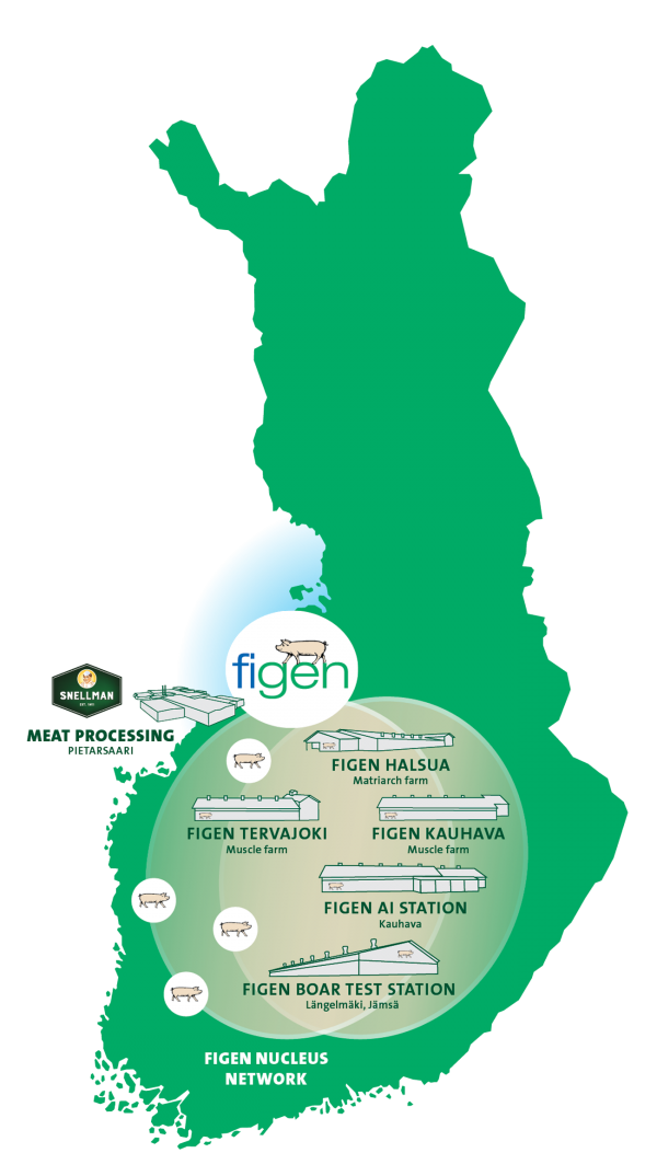 Figen Nucleus Network Figen Nucleus Network